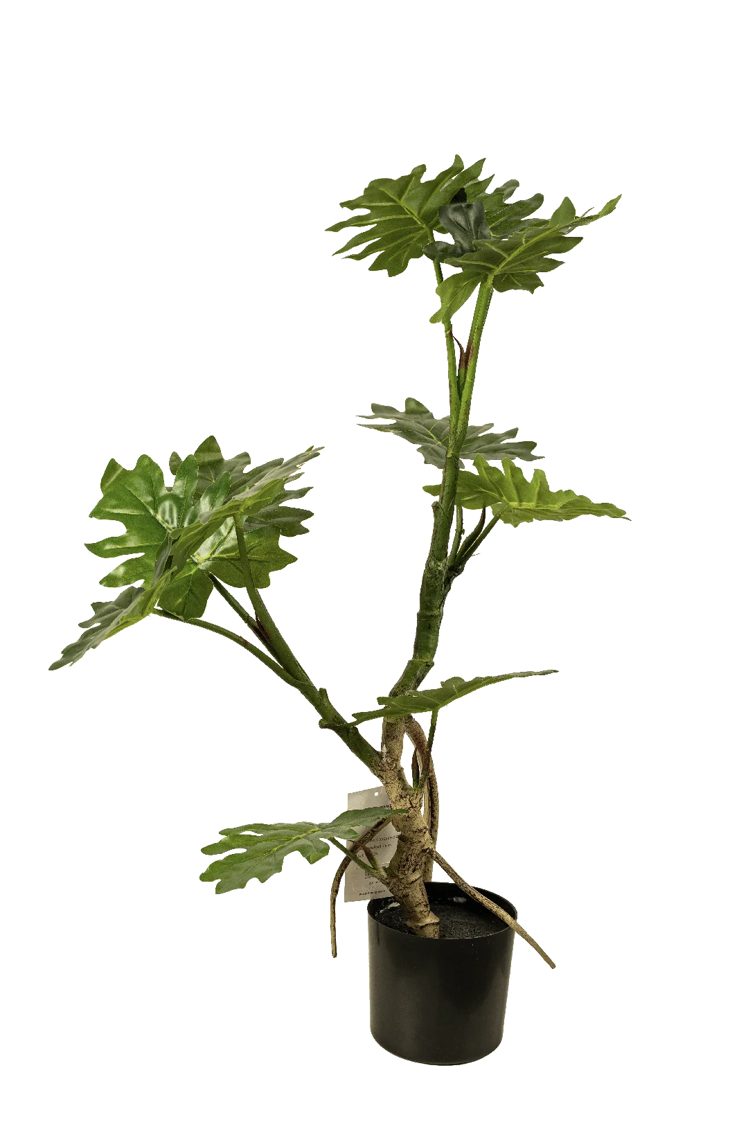 Philodendron (75cm) | Vyne Artificial Philodendron Plant — 75cm | Vyne Boutique