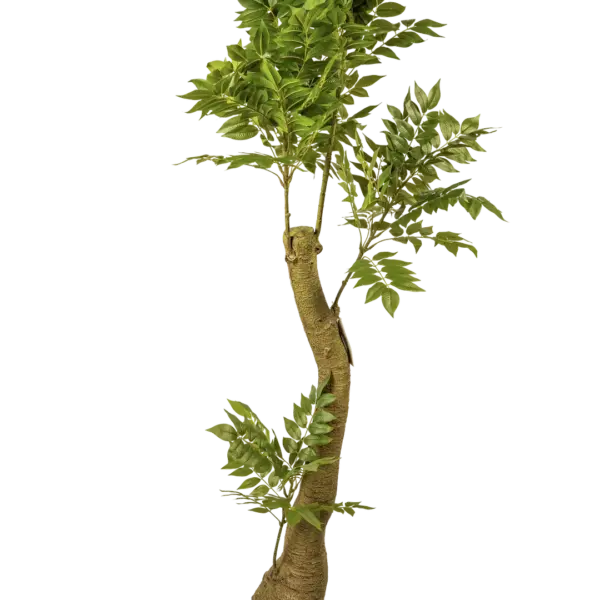 Artificial Ash Tree — 180cm Woodland | Vyne Boutique