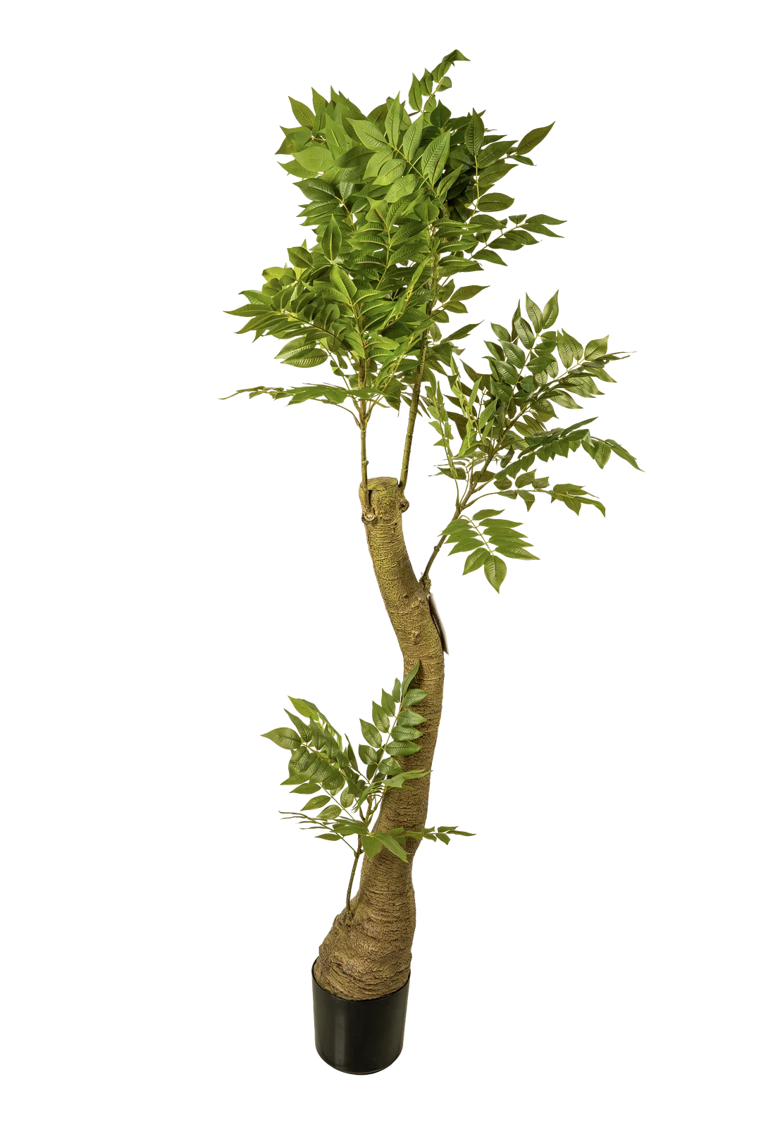 Ash Tree (180cm) | Vyne Artificial Ash Tree — 180cm Woodland | Vyne Boutique