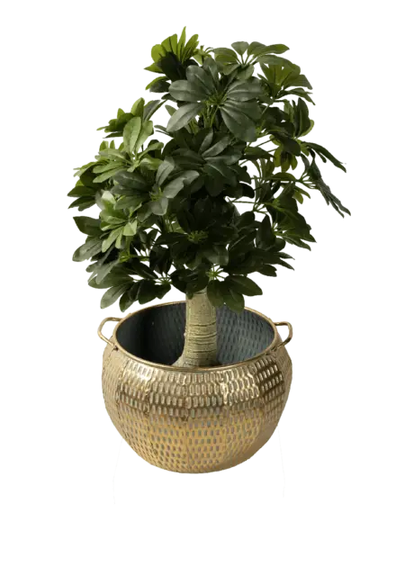 Woven Belly Basket Midi