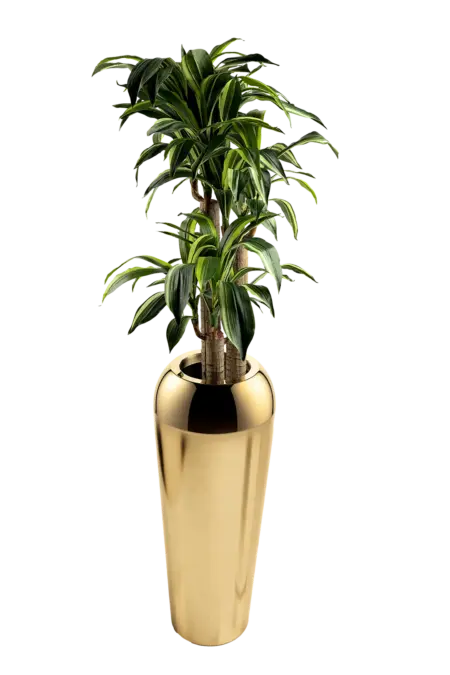 Grand Rounded Mirror Vase — Mirror Gold | Vyne Boutique