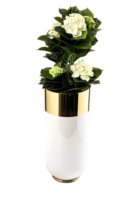 Medium Monarch Column — Porcelain White & Mirror Gold | Vyne