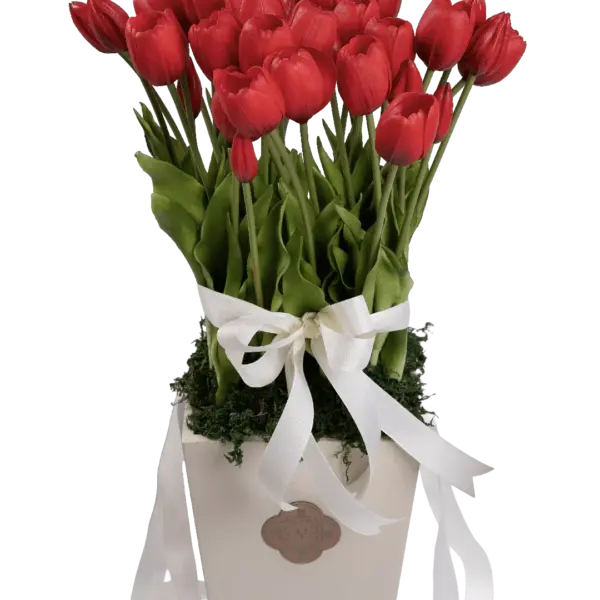 Scarlet Poise — Artificial Tropical Arrangement | Vyne Boutique